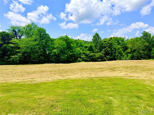 341 Linebacker Run, Jackson, MO, 63755 | Card Image