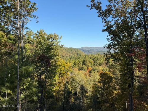 122-1 Mule Ln, Sevierville, TN, 37862 | Card Image