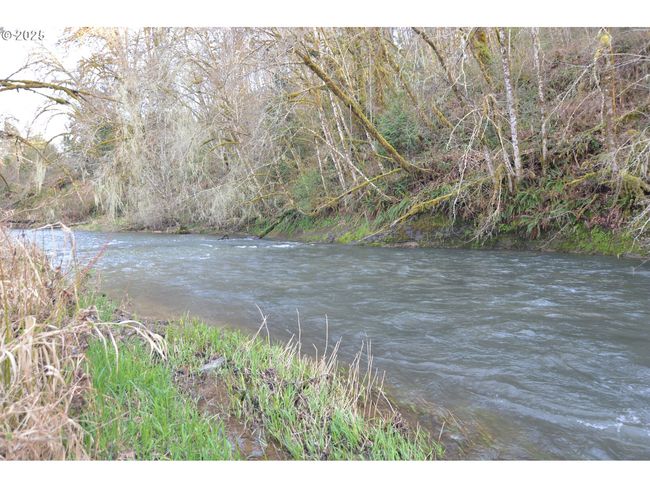 1397 State Route 506, House other with 4 bedrooms, 3 bathrooms and 4 parking in Vader WA | Image 35
