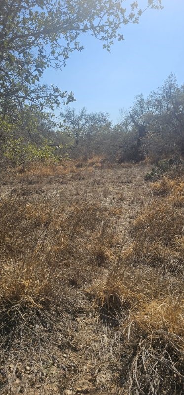 Land in San Antonio 4
