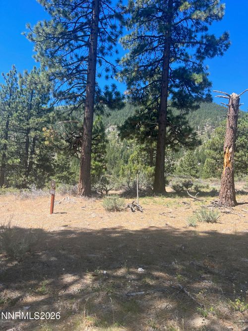90-3559 Knob Point Trl, Carson City, NV, 89705-6978 | Card Image