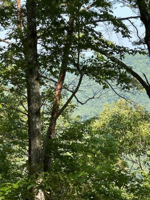 285 Purple Iris Ln, Wilder, TN, 38589-2200 | Card Image