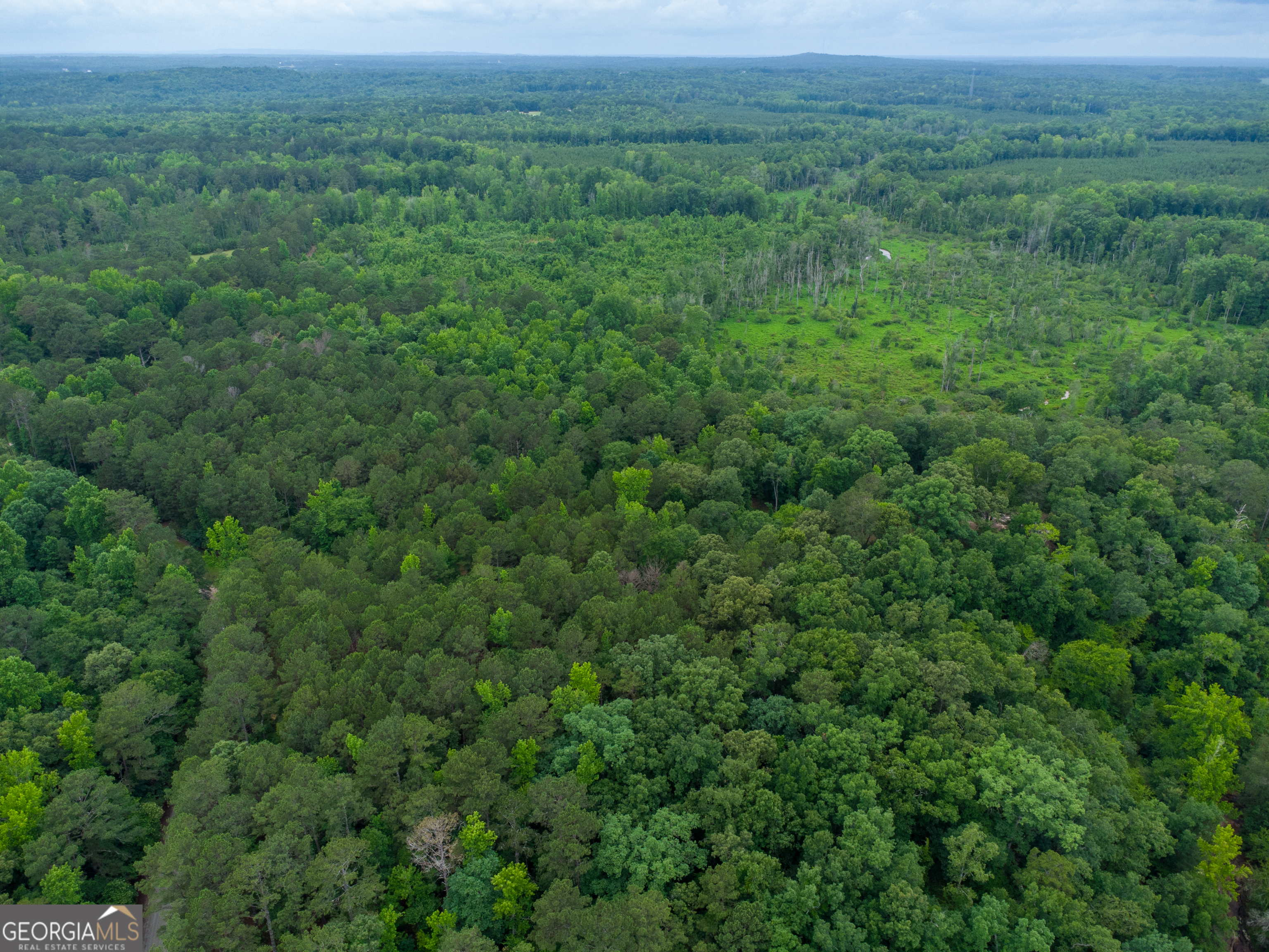 Land in Barnesville 5