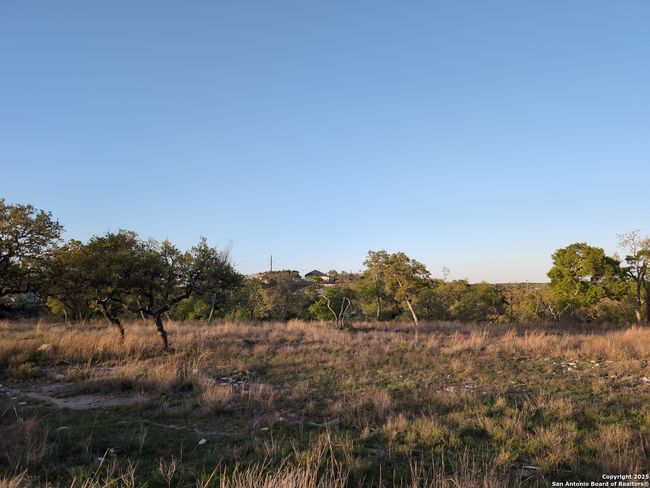 Twisted Oak behind POV | Image 14