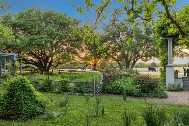 Another stunning view of the rose garden at sunset. | Image 41