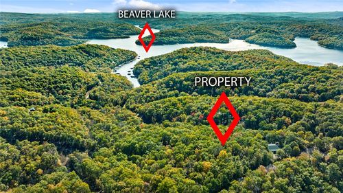 1 Mundell Road, Eureka Springs, AR, 72631 | Card Image