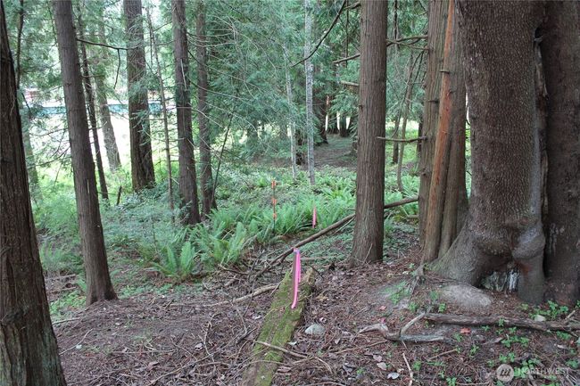 85 Quinault Loop, Home with 0 bedrooms, 0 bathrooms and null parking in Port Townsend WA | Image 14