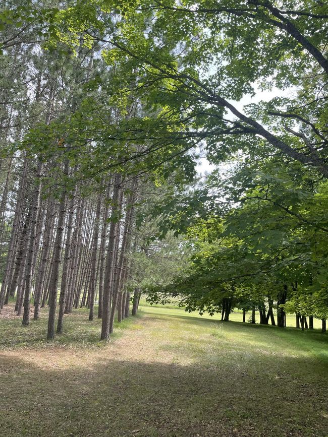 5.jpg | Image 5