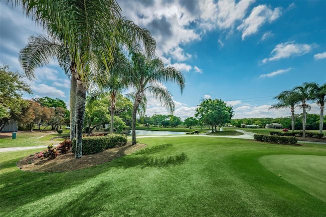 1522 Riverdale Dr, House other with 2 bedrooms, 2 bathrooms and null parking in OLDSMAR FL | Image 42