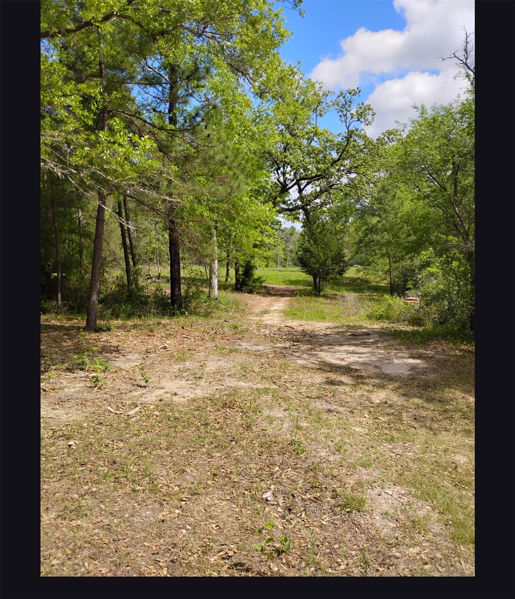 Land in Huntsville 3