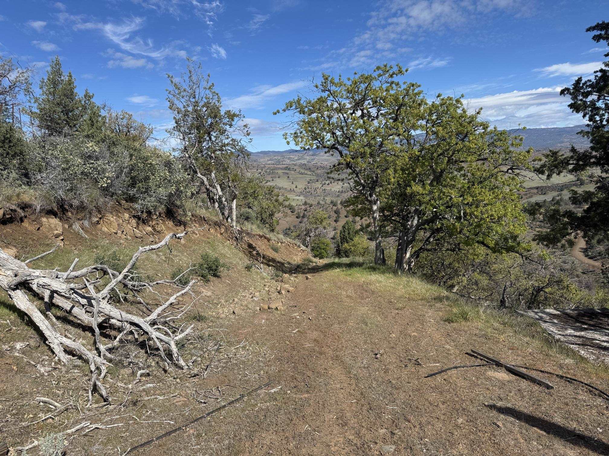 Land in Montague