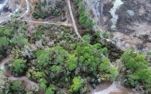 TBD Ne 128th Ln, BRONSON, FL, 32621 | Card Image