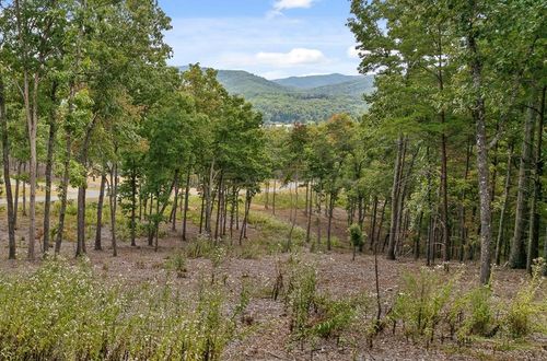 Lot 88 Split Rock Trl, MORGANTON, GA, 30560-1816 | Card Image