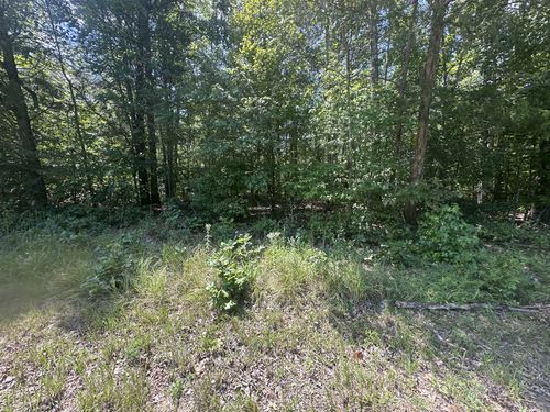 0 Brodies Landing Rd, Parsons, TN, 38363 | Card Image