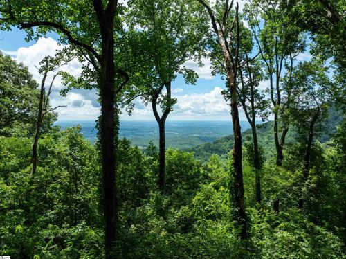 22 Raven Rd, Landrum, SC, 29356-3127 | Card Image