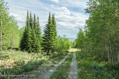 TRACT 14 Spring Hollow Rd, Daniel, WY, 83115 | Card Image