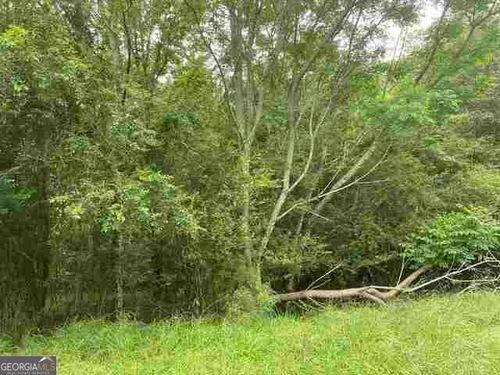 tract-9-0 River Birch Lane, Colbert, GA, 30628 | Card Image