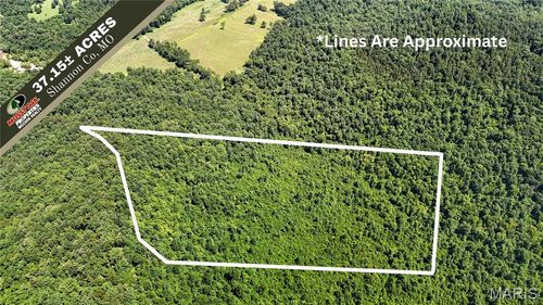 TBD Antler Ridge Subdivision, Eminence, MO, 63629 | Card Image