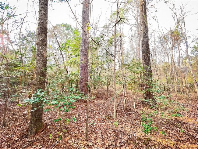 00 New Bridge Rd, Home with 0 bedrooms, 0 bathrooms and null parking in Mc Coll SC | Image 7