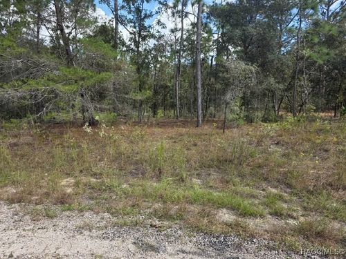 6925 N Edna Pt, Citrus Springs, FL, 34434 | Card Image