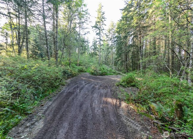 0 Discovery Ridge Rd, Home with 0 bedrooms, 0 bathrooms and null parking in Port Townsend WA | Image 9