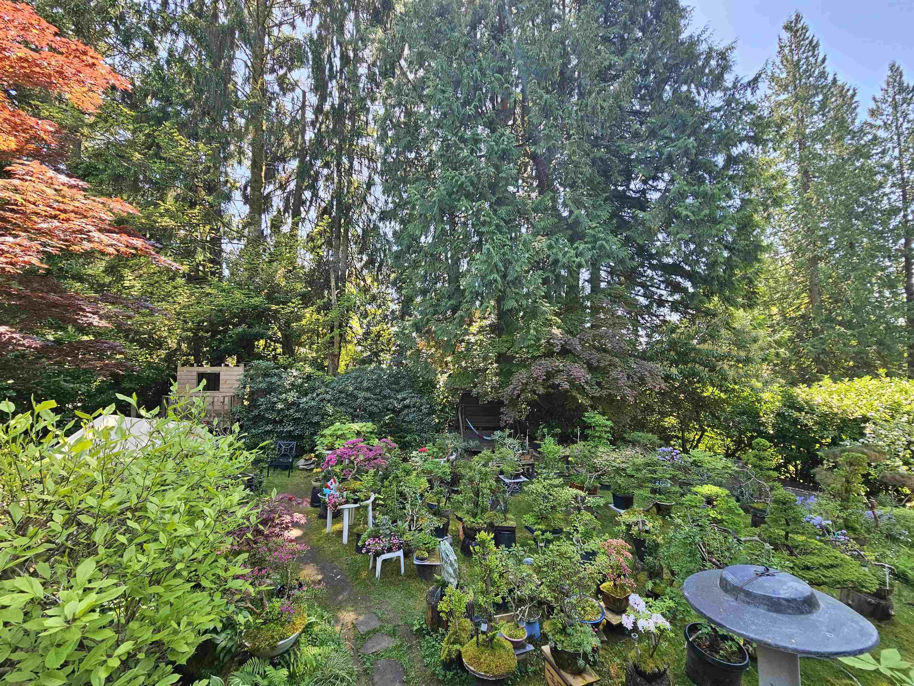 Residential in North Vancouver 4