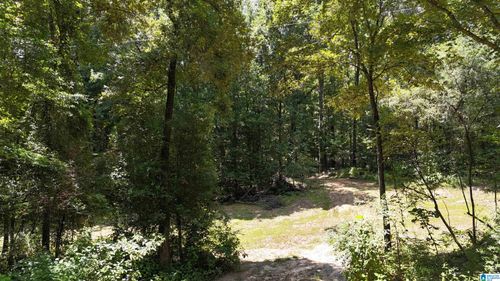 0-0 Birmingham Rd, Centreville, AL, 35042 | Card Image