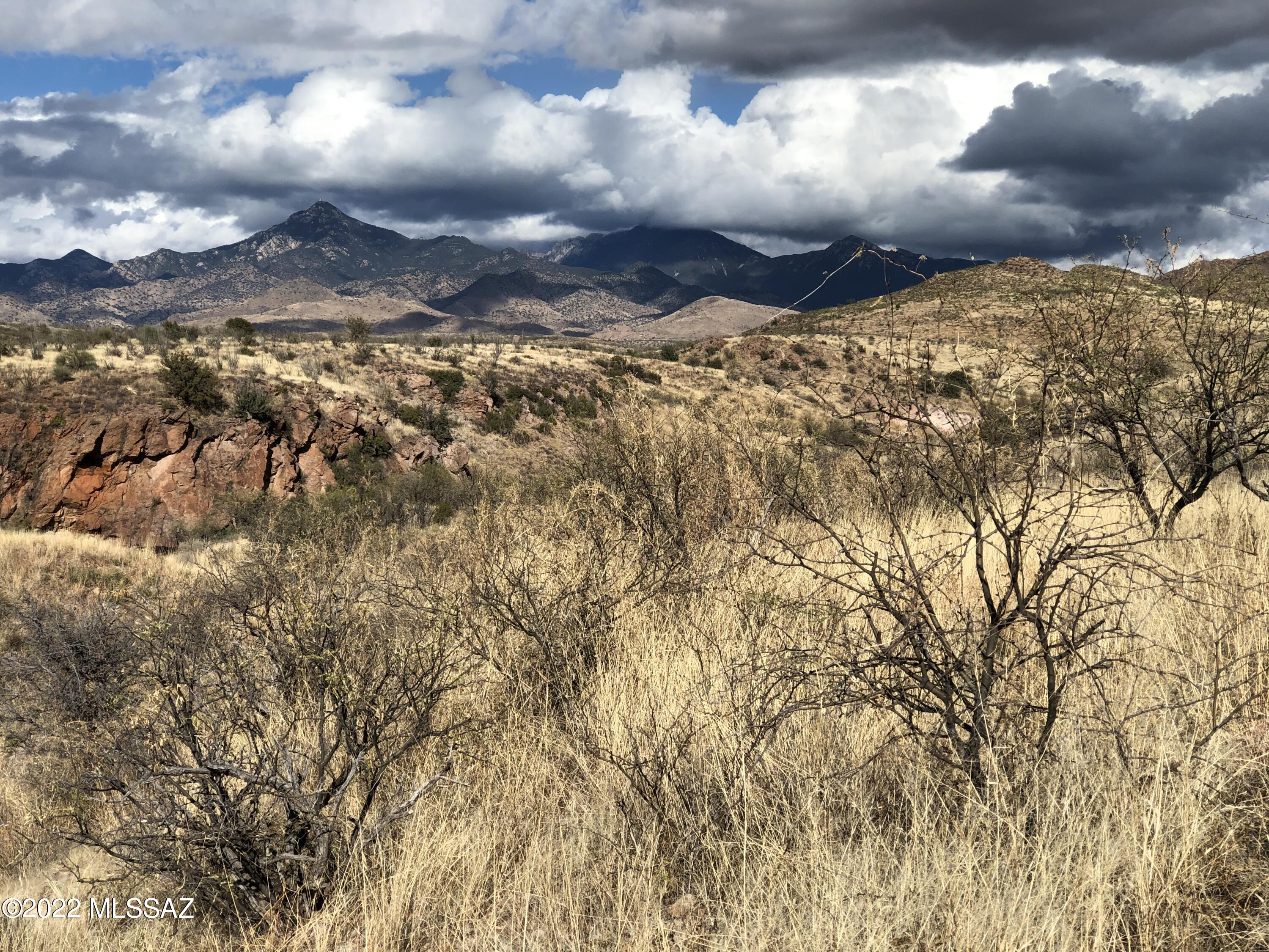Land in Rio Rico 3