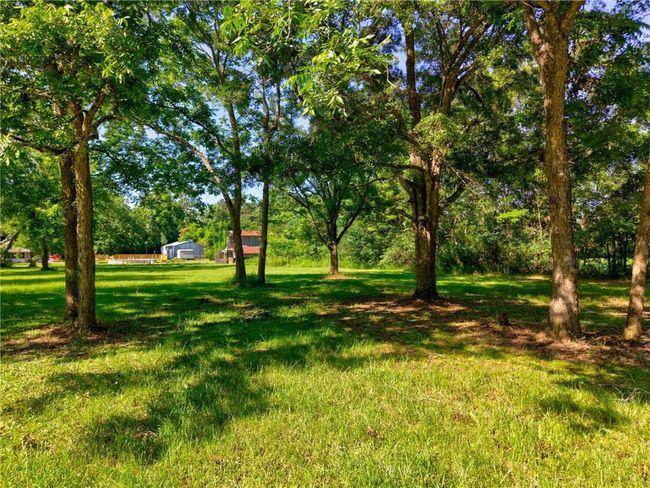 View of grassy yard | Image 8