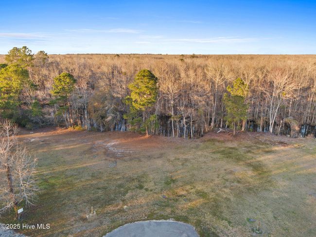 21 Big Creek Cir, Home with 0 bedrooms, 0 bathrooms and null parking in Lake Waccamaw NC | Image 4