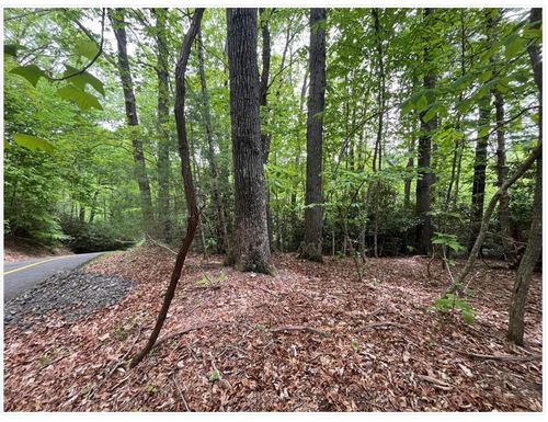 00 Old Hollow Trl, Fancy Gap, VA, 24328 | Card Image