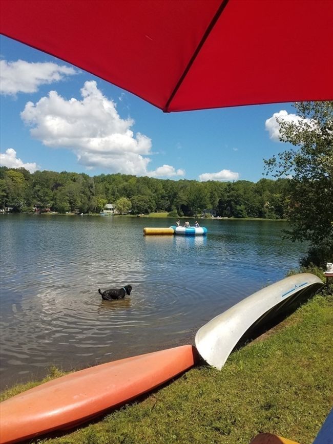 18 Westshore Dr, House other with 3 bedrooms, 5 bathrooms and 8 parking in Goshen MA | Image 38
