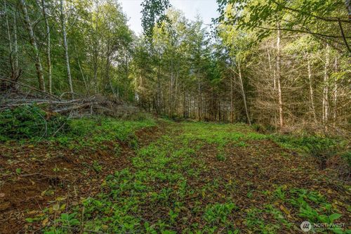 225 Deer Fern Ln, Longview, WA, 98632-7896 | Card Image