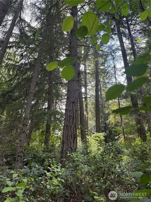 11717 Mill Pl, Anderson Island, WA, 98303-9600 | Card Image