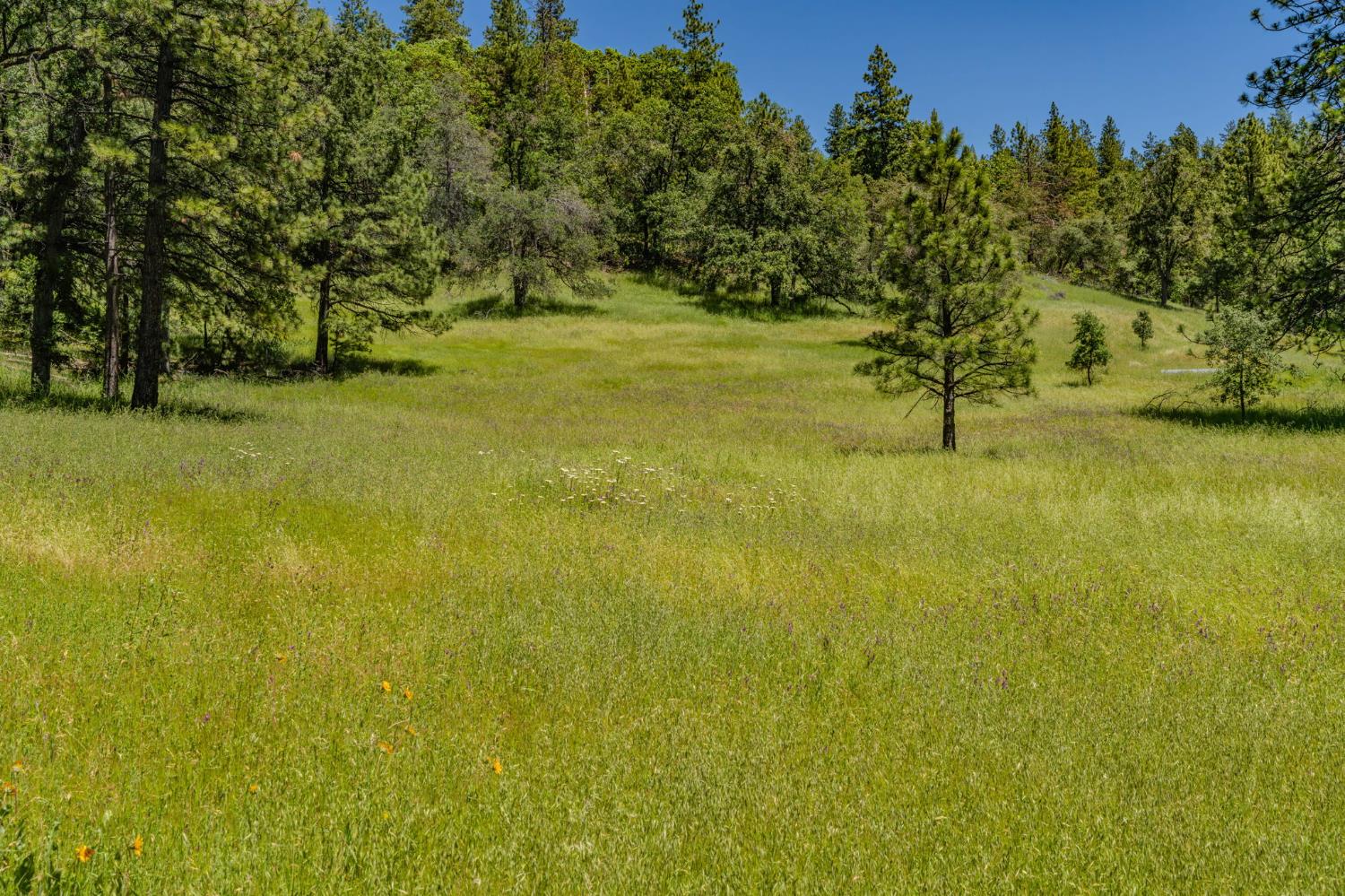 Land in Pioneer