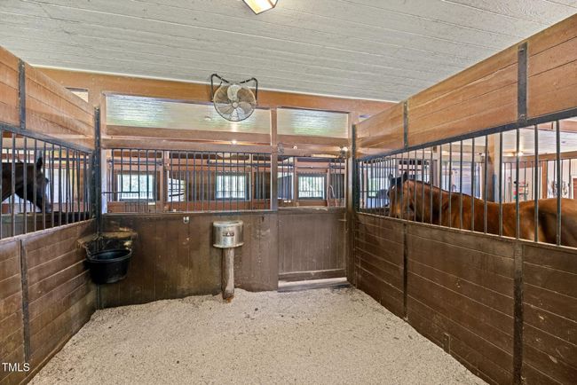 45-web-or-mls-5Z8A3904 | Image 71