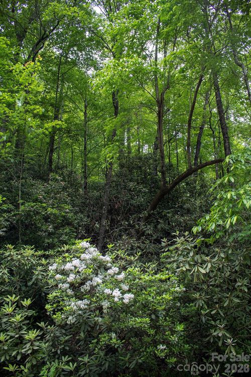 57and59-TBD Fox Den Road, Brevard, NC, 28712 | Card Image
