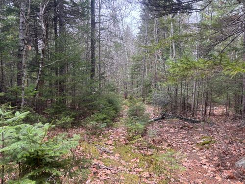 M11L17C Rogers Point Road, Steuben, ME, 04680 | Card Image