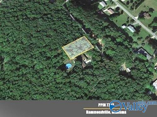 Lot 3 Hickory Ln, Valley Head, AL, 35989-4444 | Card Image