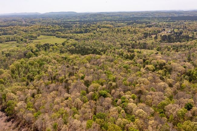 00 Cohutta Beaverdale Rd, Home with 0 bedrooms, 0 bathrooms and null parking in Cohutta GA | Image 21