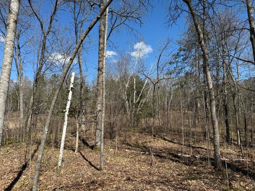 Lot 7 Block 1 Yellow Birch Ln, Emily, MN, 56447 | Card Image