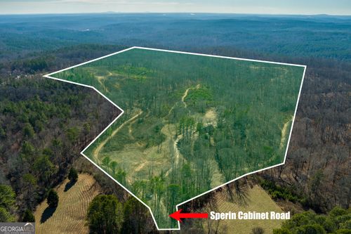 170 Sperin Cabinet Rd, Ball Ground, GA, 30107-2859 | Card Image