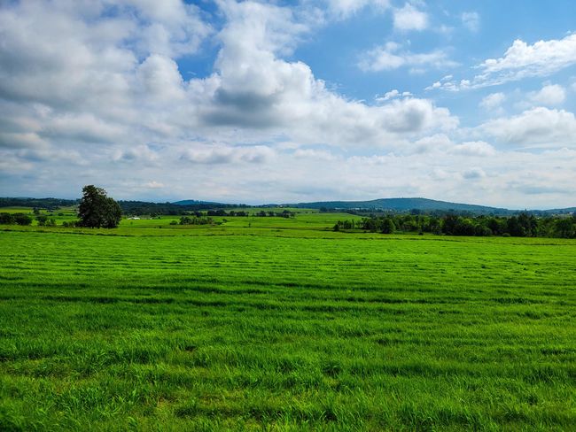 3 - 1545 Middle Road, Home with 0 bedrooms, 0 bathrooms and null parking in Bridport VT | Image 38