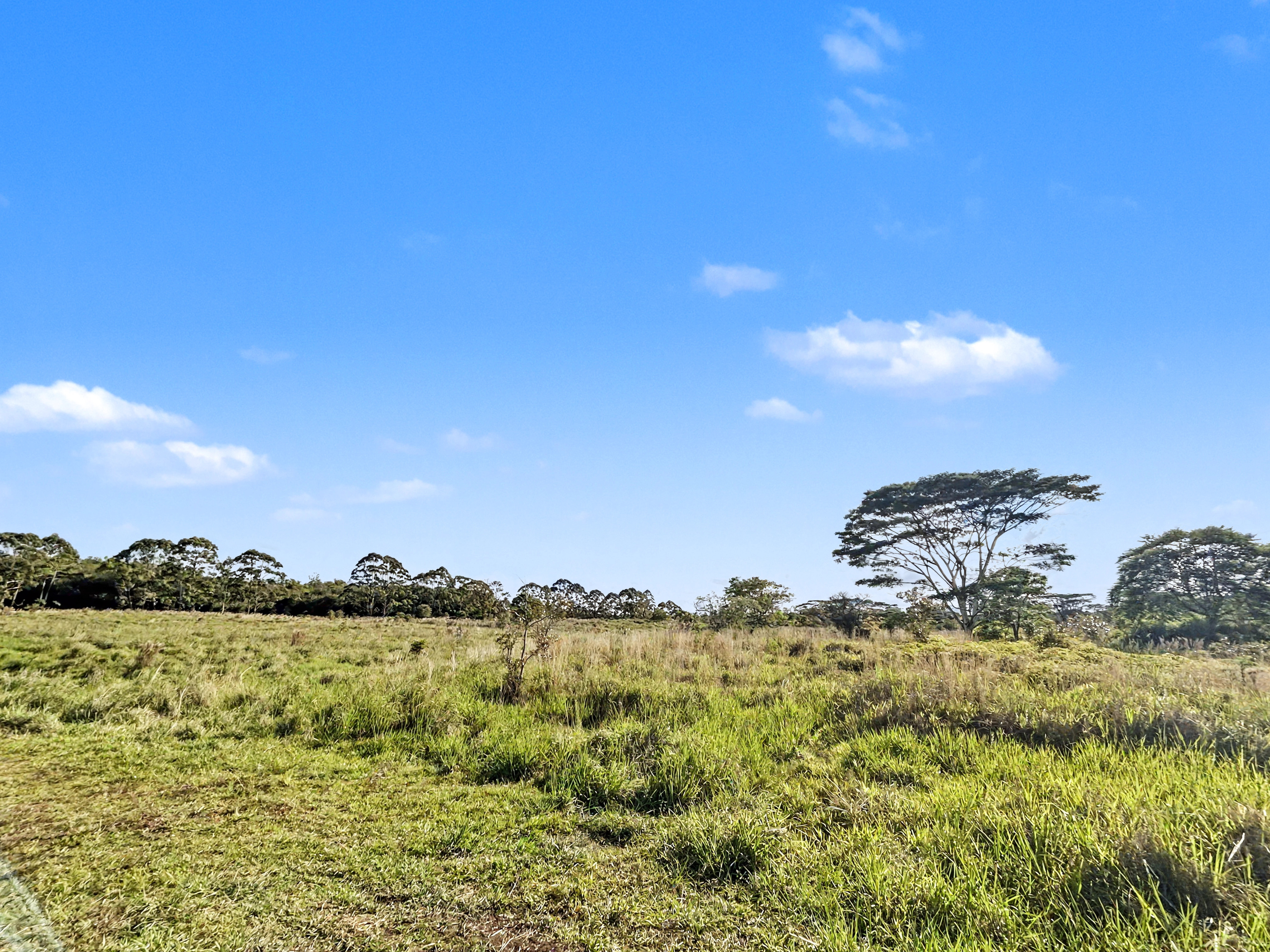 Land in Kurtistown 5