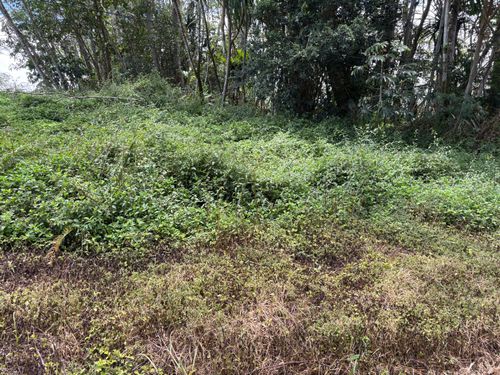 15-281 Kahakai Blvd, PAHOA, HI, 96778-8814 | Card Image