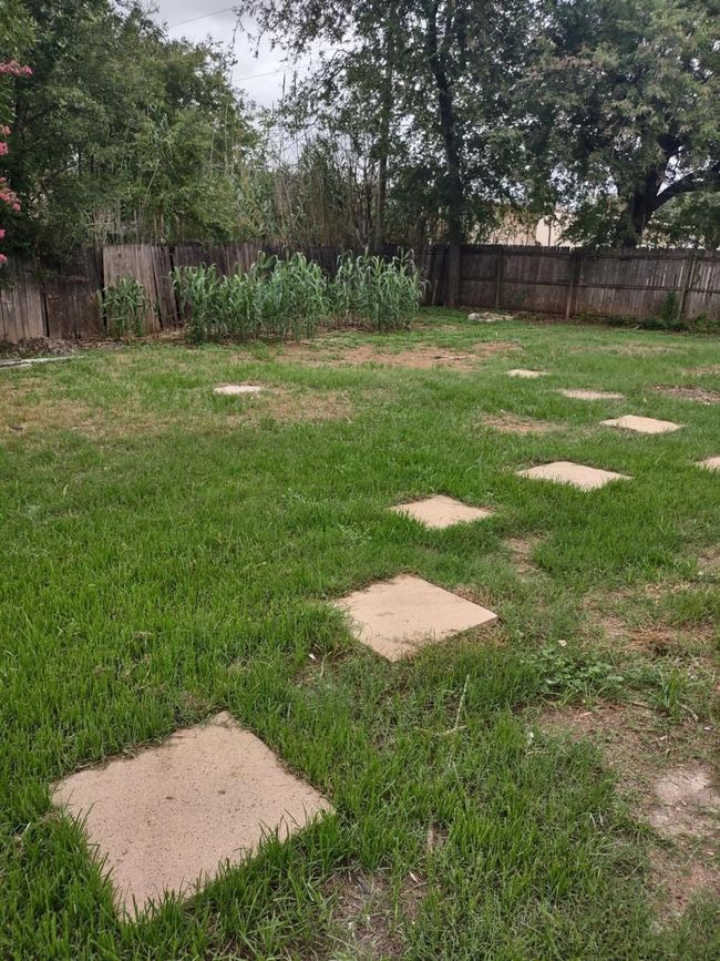 View of yard | Image 15