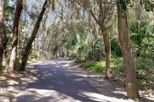 UNIT-1001 - 95177 Summerwoods Cir, Condo with 3 bedrooms, 4 bathrooms and null parking in Amelia Island FL | Image 76