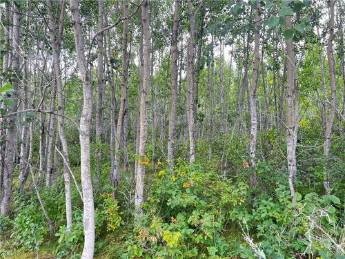 1 S Country Cir, Gordon, WI, 54838 | Card Image