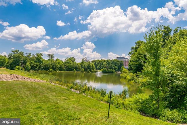 APT-14 - 1712 Lake Shore Crest Dr, Condo with 1 bedrooms, 1 bathrooms and null parking in Reston VA | Image 23