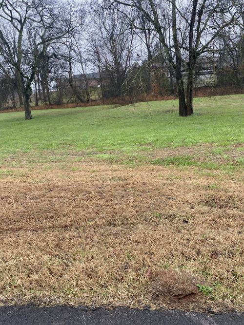 109 Mimi Cir, Pulaski, TN, 38478-4726 | Card Image